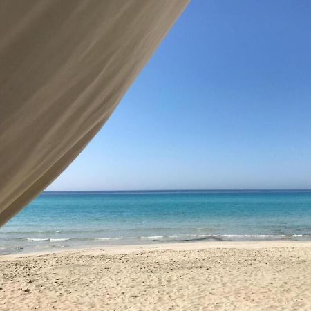 Gallipoli Mancaversa Futura Vacanza Andrea Marina di Mancaversa Zewnętrze zdjęcie