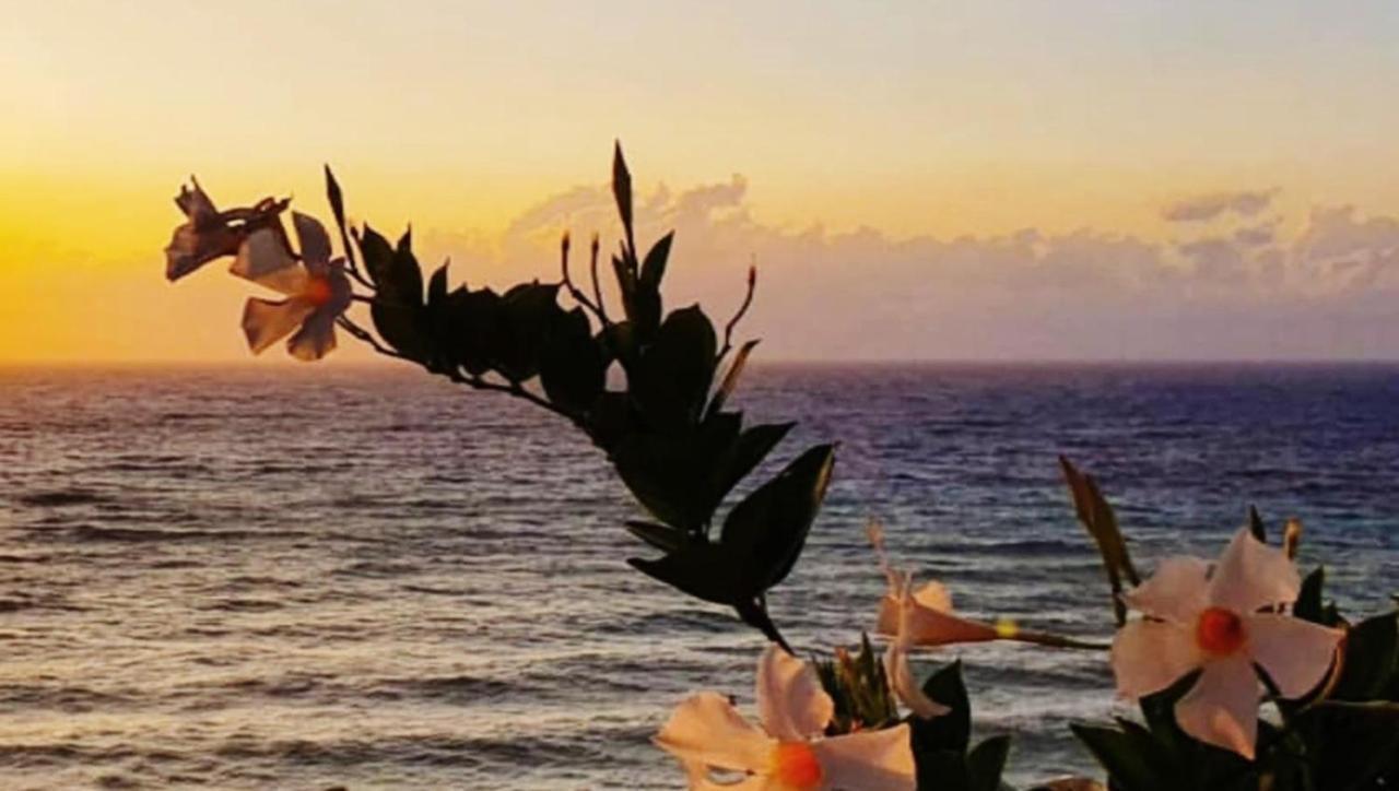 Gallipoli Mancaversa Futura Vacanza Andrea Marina di Mancaversa Zewnętrze zdjęcie