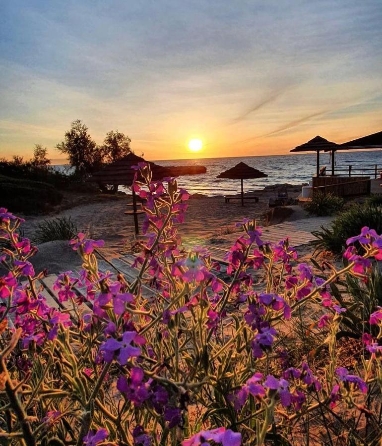 Gallipoli Mancaversa Futura Vacanza Andrea Marina di Mancaversa Zewnętrze zdjęcie