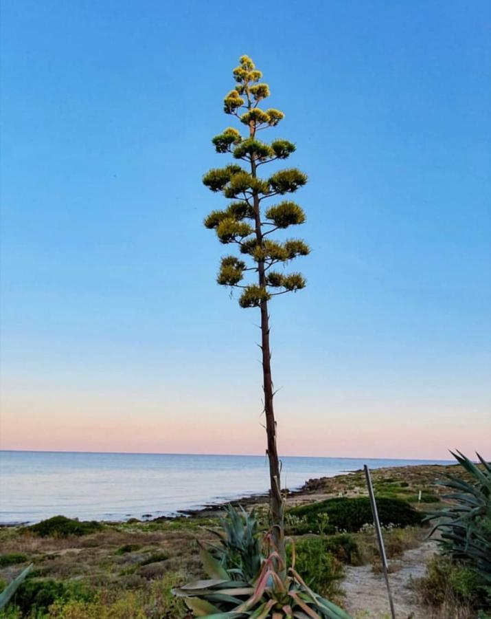 Gallipoli Mancaversa Futura Vacanza Andrea Marina di Mancaversa Zewnętrze zdjęcie